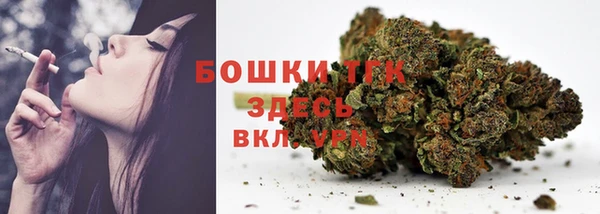 сатива Магадан