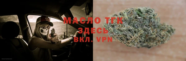 гидра Осинники