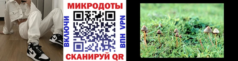 Псилоцибиновые грибы ЛСД Набережные Челны