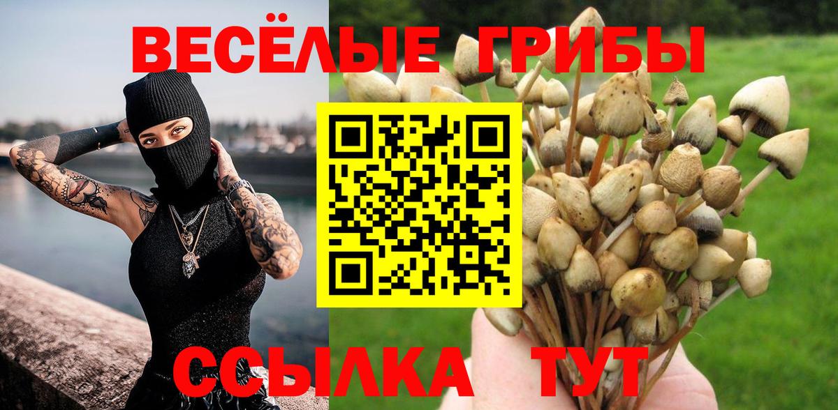 Псилоцибиновые грибы GOLDEN TEACHER Россия