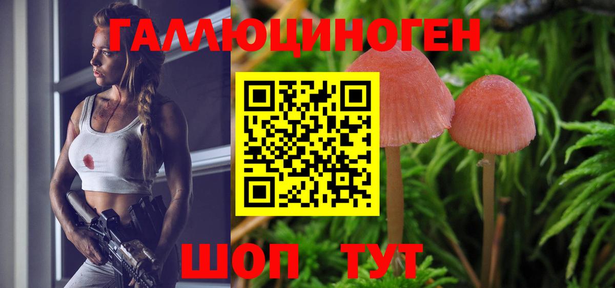 Галлюциногенные грибы Magic Shrooms  Вход с VPN  Россия 